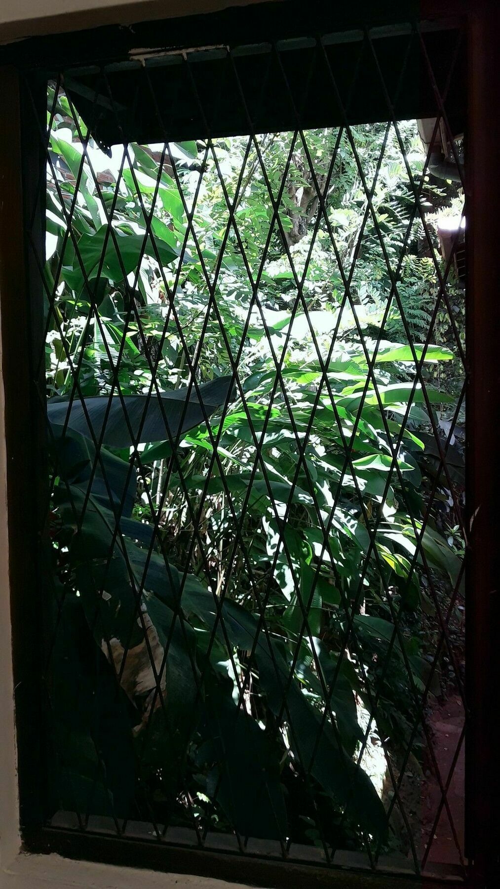 Tree Breeze Inn Kandy Eksteriør billede