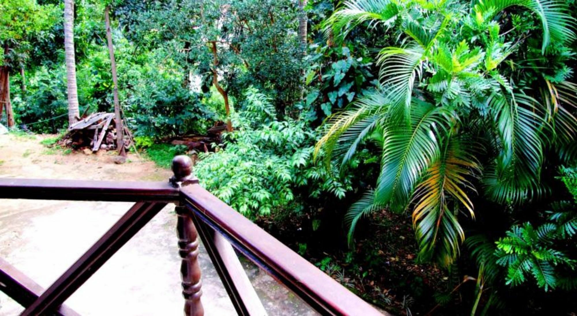 Tree Breeze Inn Kandy Eksteriør billede